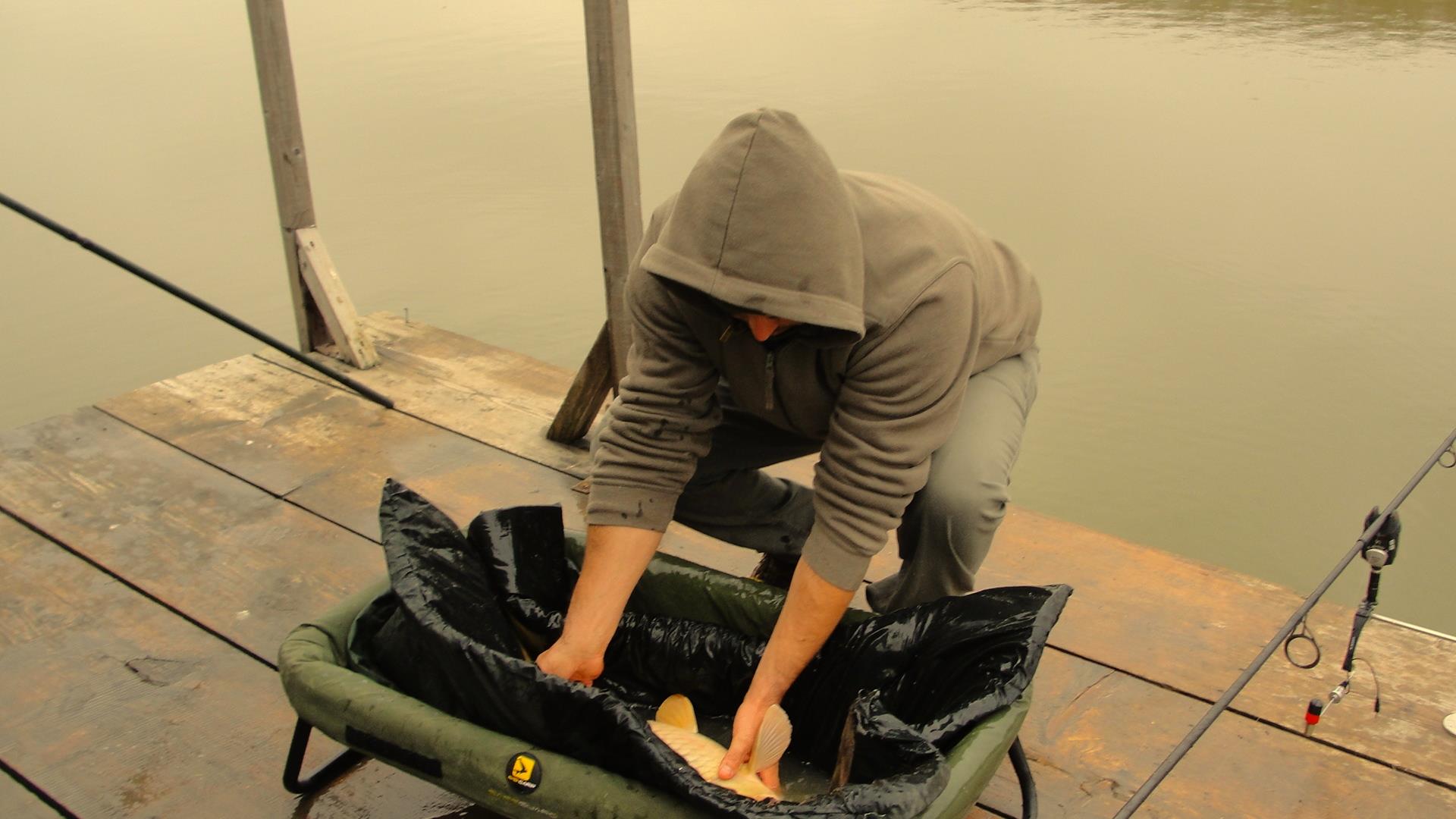 Magura 9 23 - 23 nov. - 15.JPG